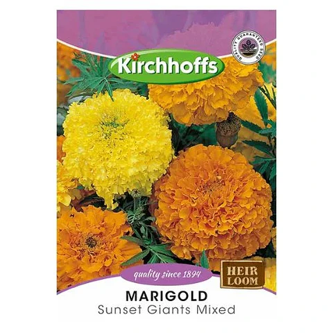 Semillas de Marigold