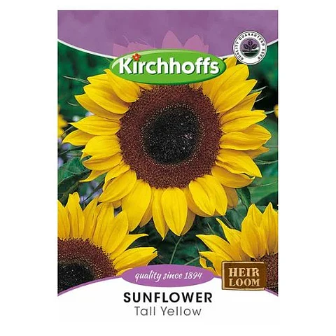 Semillas de Girasol