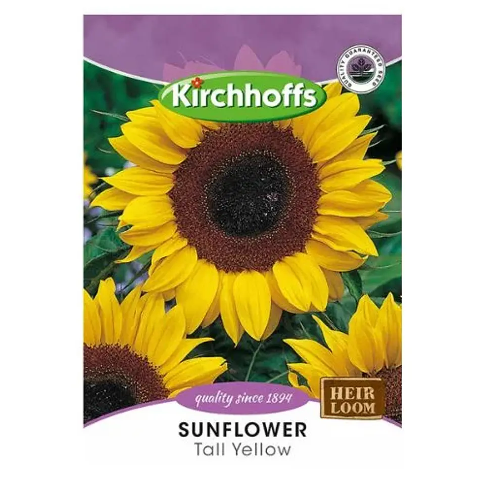 Semillas de Girasol 1