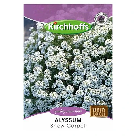 Semillas de Alyssum