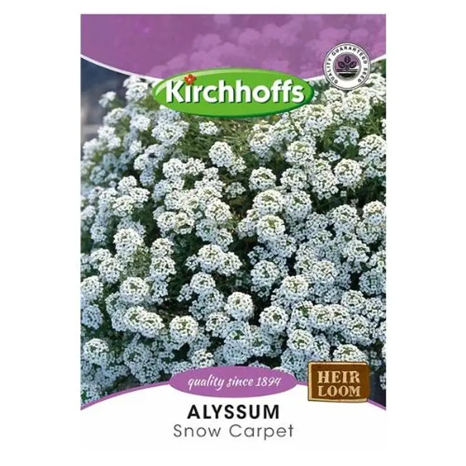 Semillas de Alyssum 1