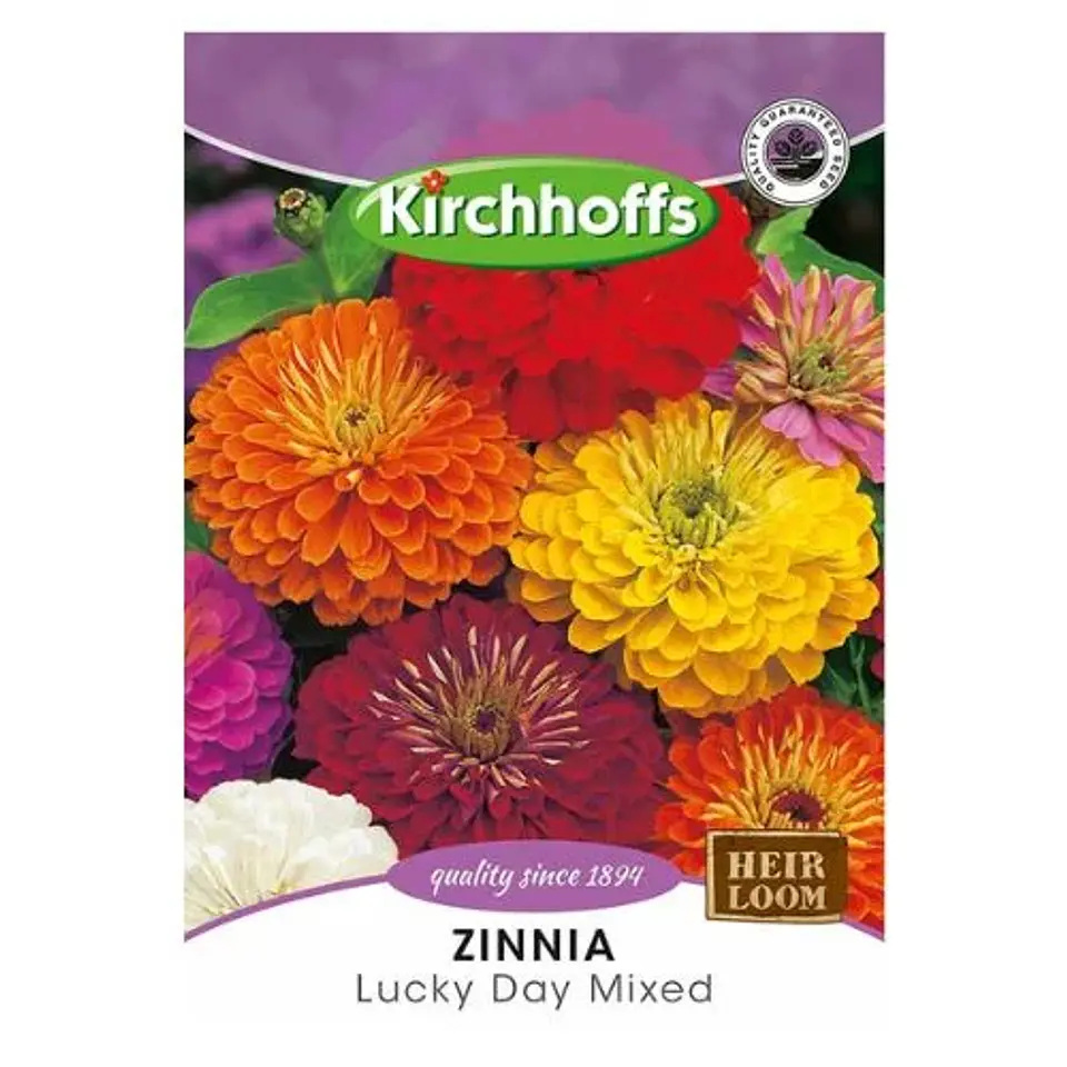 Semillas de Zinnia 1