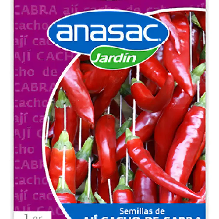 Semillas de ají cacho de cabra 1