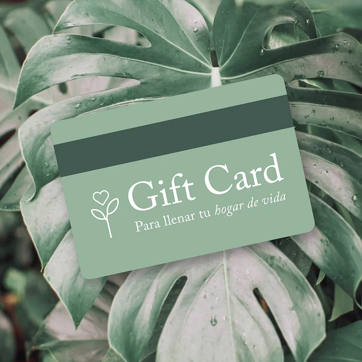 Gift Card $80.000 1