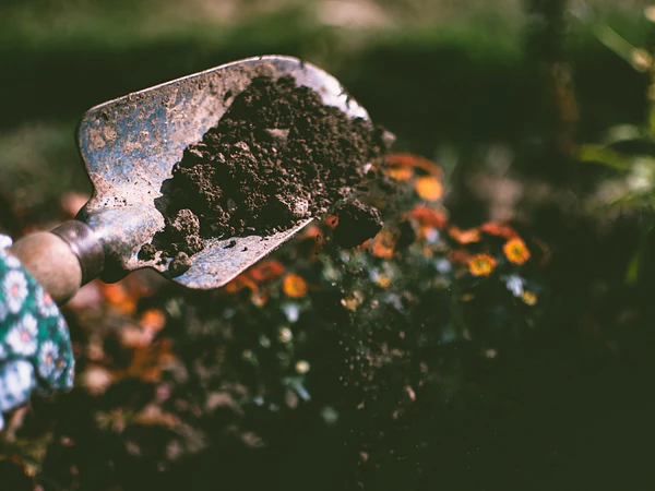 ¿Cómo preparar la tierra para plantar? Guía completa para un jardín sano<