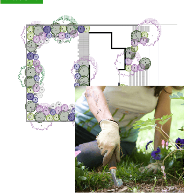 Camelia y Lavanda tu tienda online de plantas y jardín