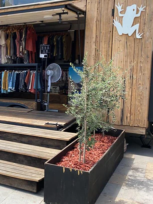 Camelia y Lavanda tu tienda online de plantas y jardín