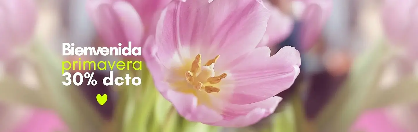 Camelia y lavanda