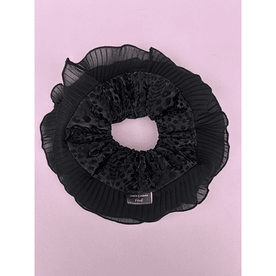 Rumba Pearl Radiance