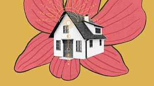 Asesoria Bienestar en casa