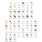 Kit Digital passarinhos passaro 7 2