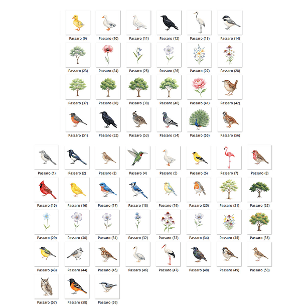 Kit Digital passarinhos passaro 7 2