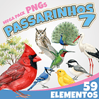 Kit Digital passarinhos passaro 7 1