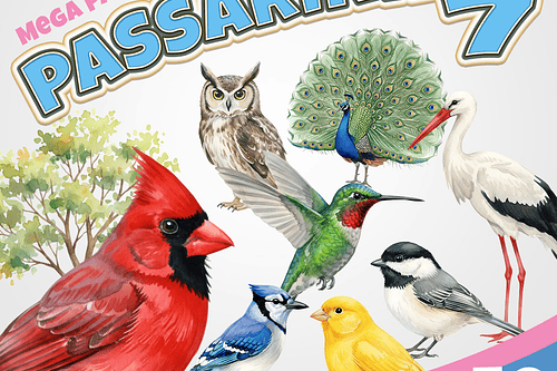 Kit Digital passarinhos passaro 7