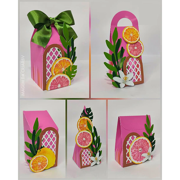 Combo Caixinhas Tropical - Arquivo de Corte