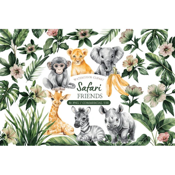 Kit Digital Safari 83