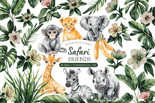 Kit Digital Safari 83