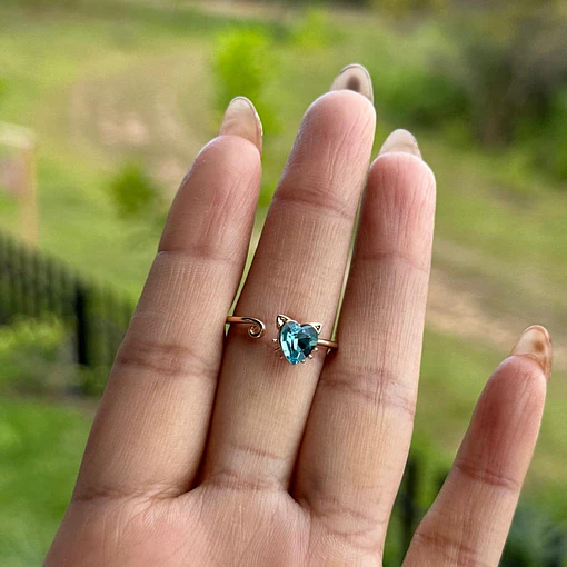 ANILLO CAT 1