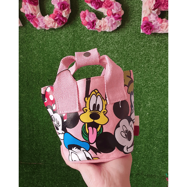 CARTERA DISNEY 