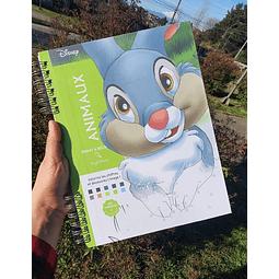 COLOREA Y DESCUBRE ANIMAUX TOMO PUNTOS 2