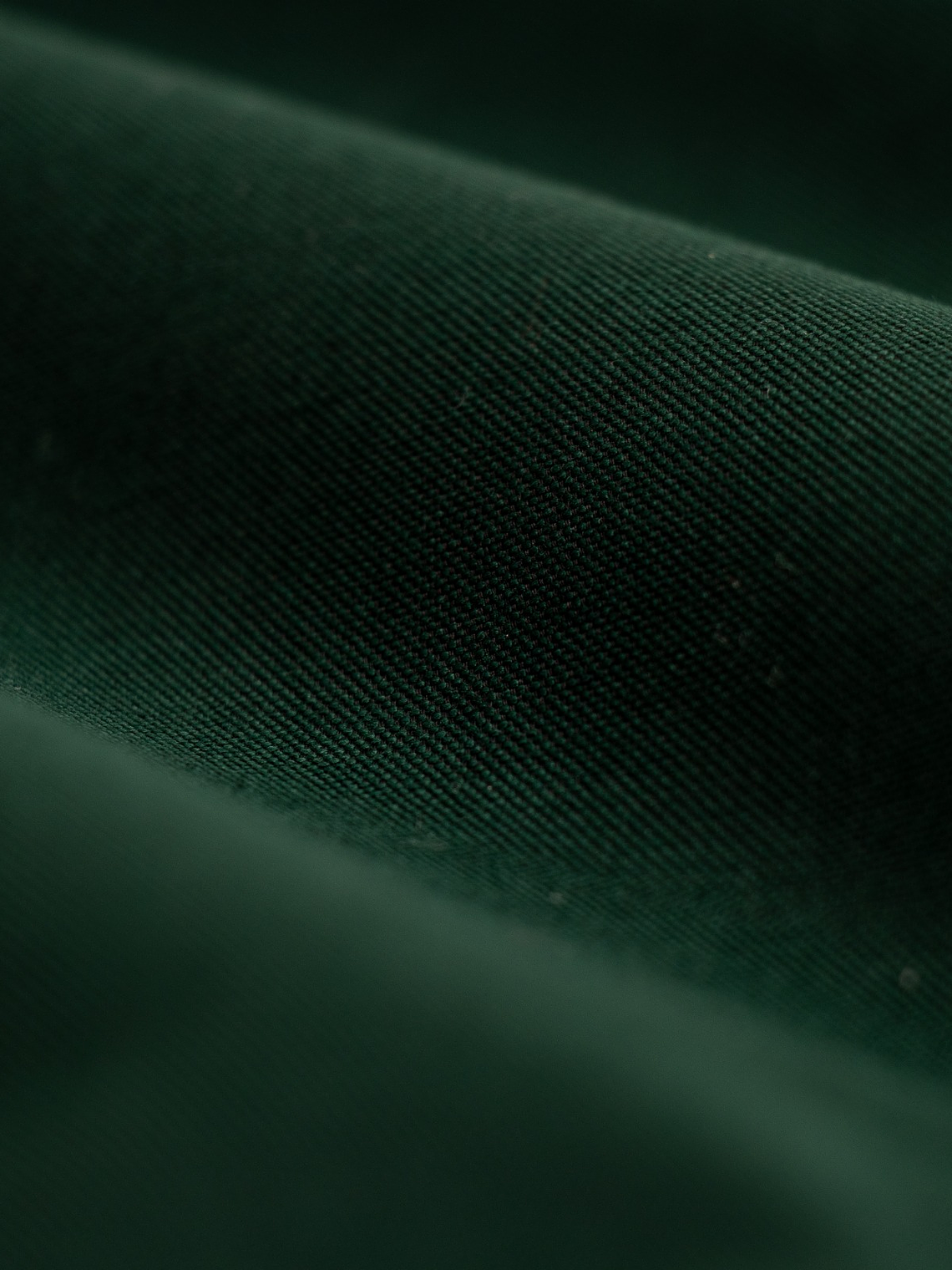 Camisa de vestir   3