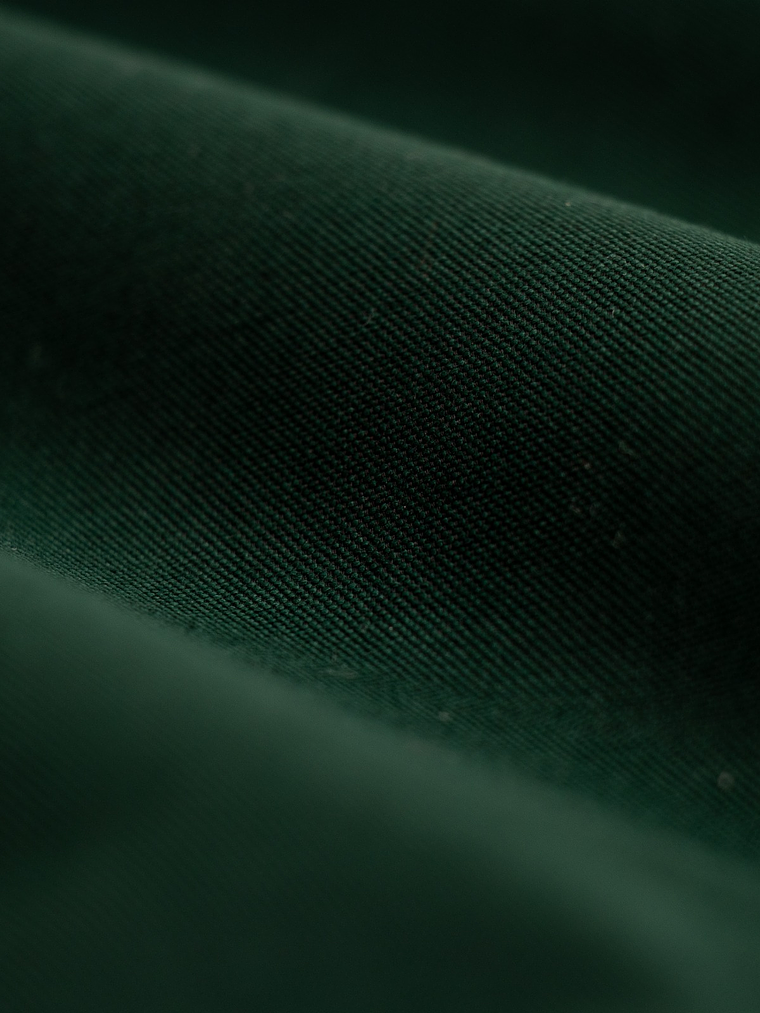 Camisa de vestir   3