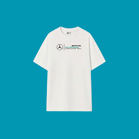 Camiseta premium OVERSIZE (ALTO GRAMAJE) autos colection