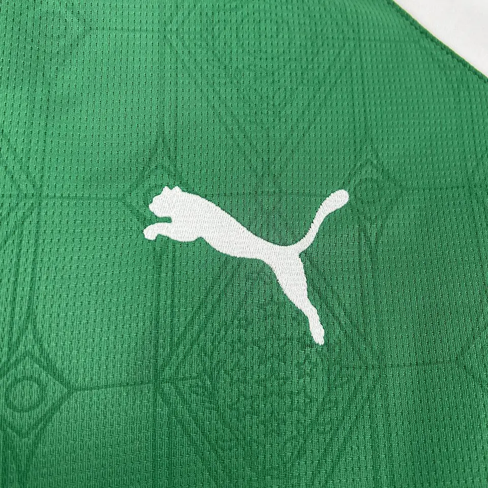 Palmeiras - Camisola Principal 2025 7