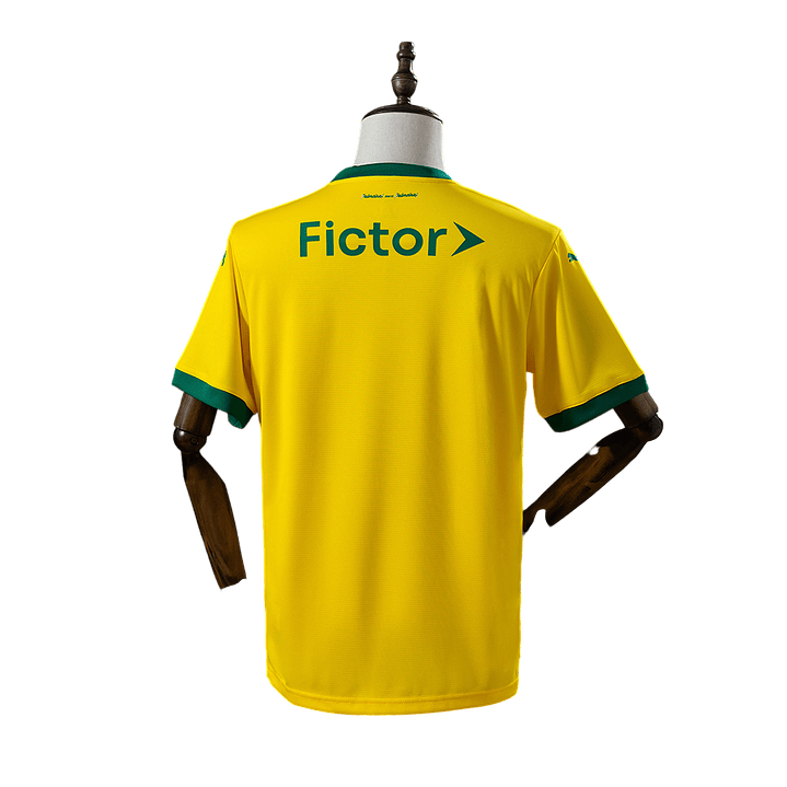 Palmeiras - Camisola Alternativa 2025 2
