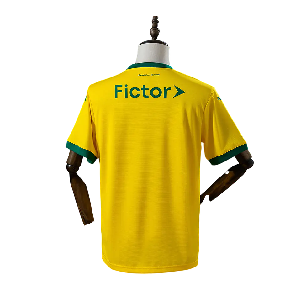 Palmeiras - Camisola Alternativa 2025 2