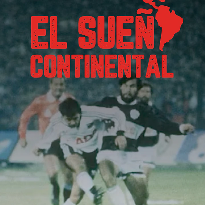  Escultura Colo-Colo 91 - PREVENTA 5