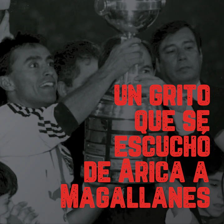  Escultura Colo-Colo 91 - PREVENTA 12