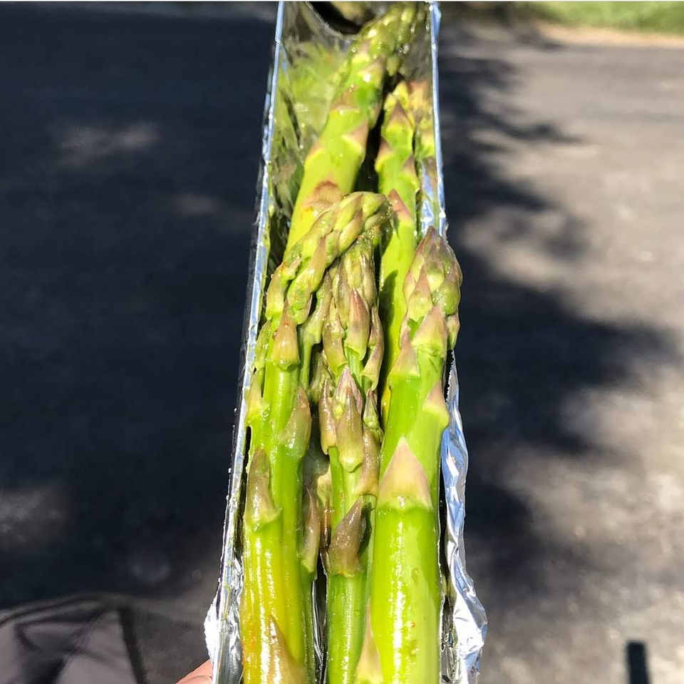 Horno Solar GoSun Go 3