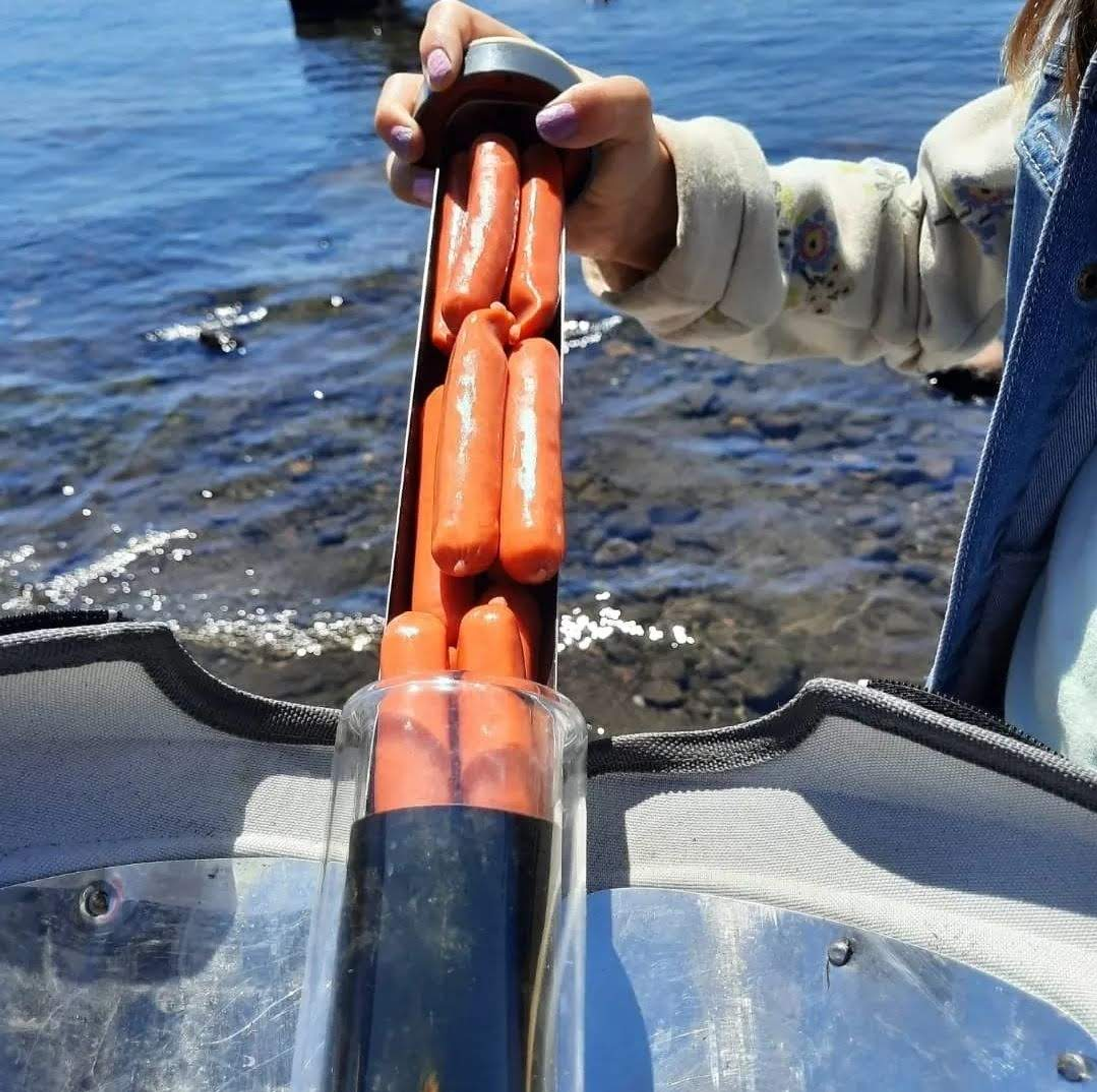 Horno Solar GoSun Go 10