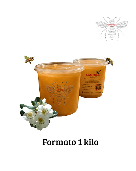 Miel de Ulmo chilota 🍯🌿