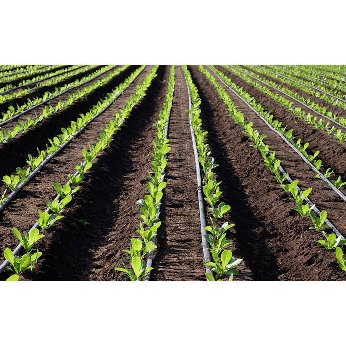 Cinta de Riego 20CM 1.1L/H 1400 Metros 0.18 (7MIL) 1