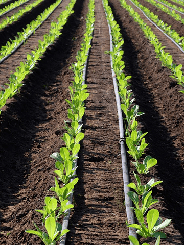 Cinta de Riego 10CM 1.1L/H 1400 Metros 0.18 (7MIL)