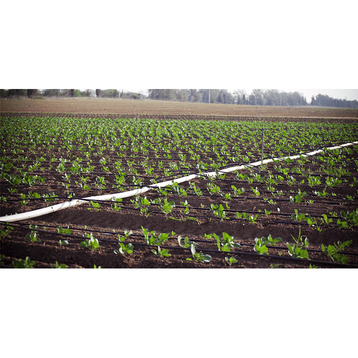 Tee Cinta HE Seguro 17mm 2