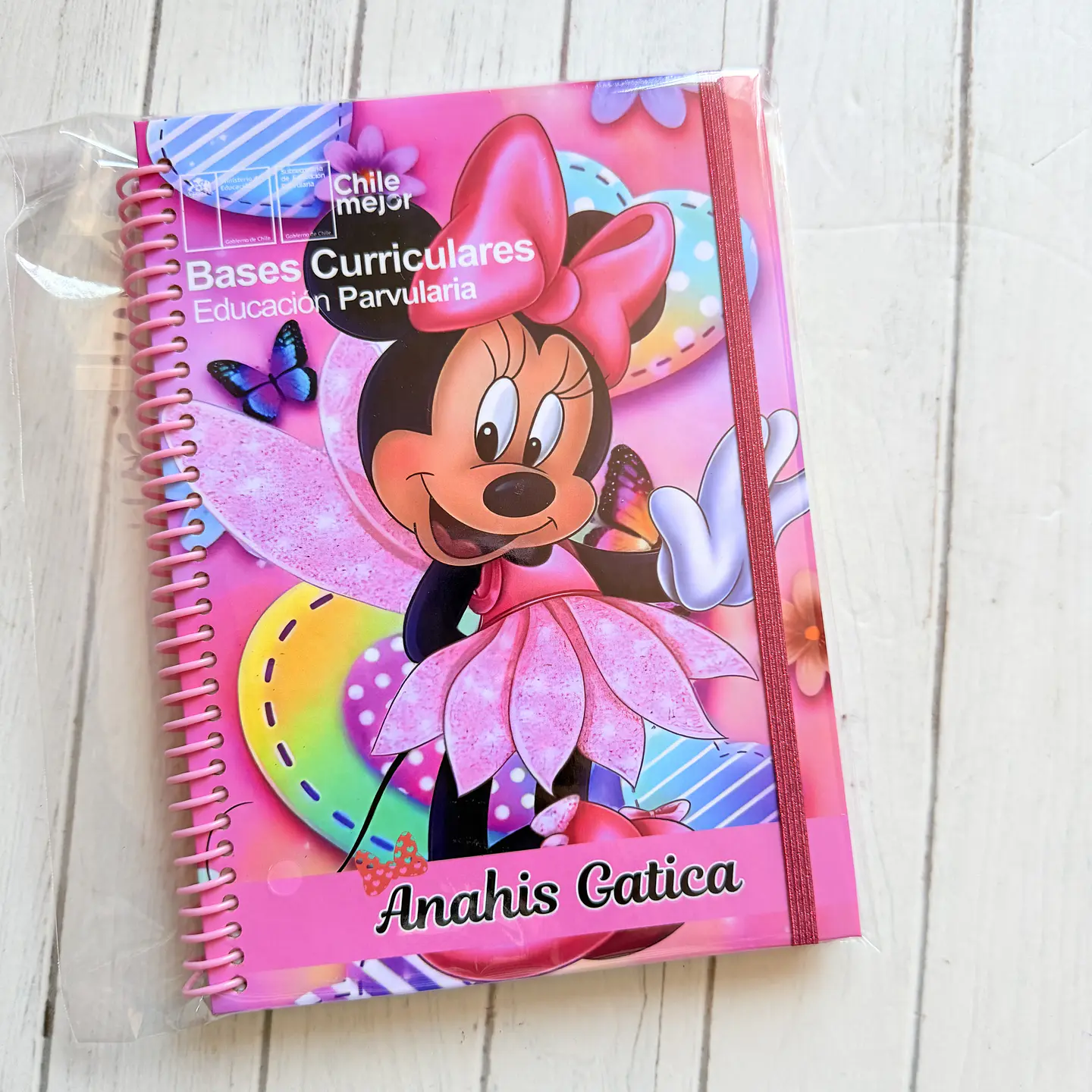 Bases curriculares 4