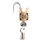 Candado de Seguridad Odis 560 60mm 3