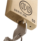 Candado Odis 250 50mm con hombros 3