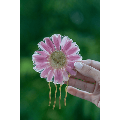 Gerbera Rosada