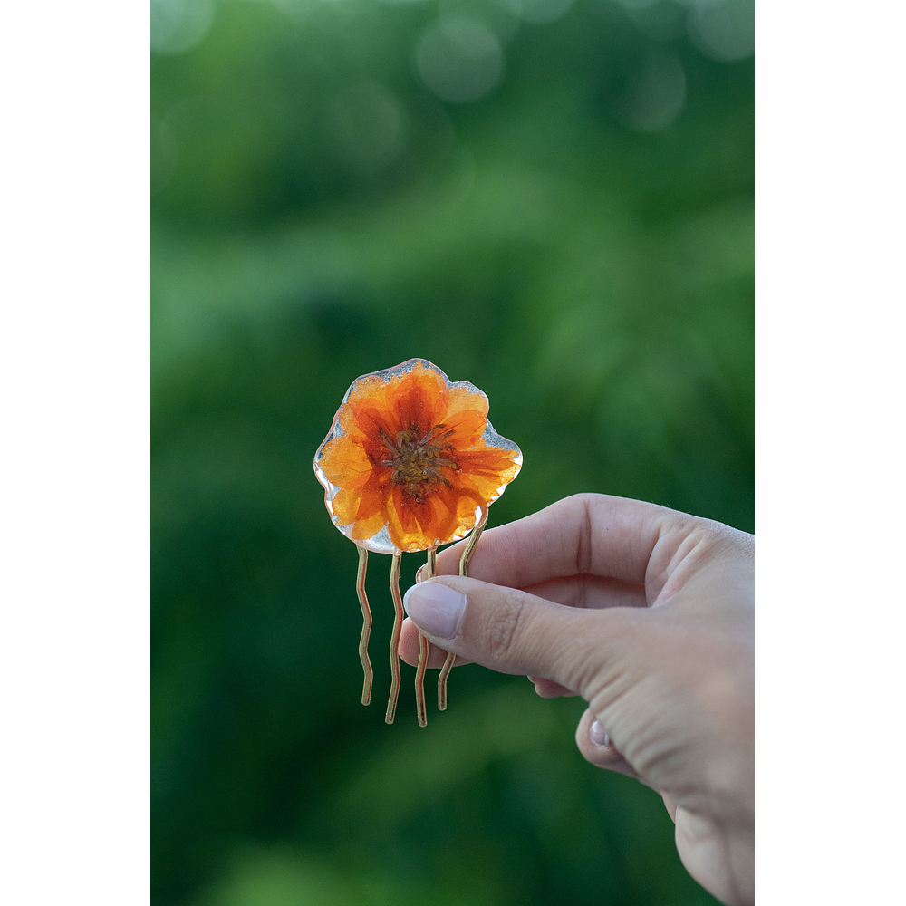 Cosmos Naranjo