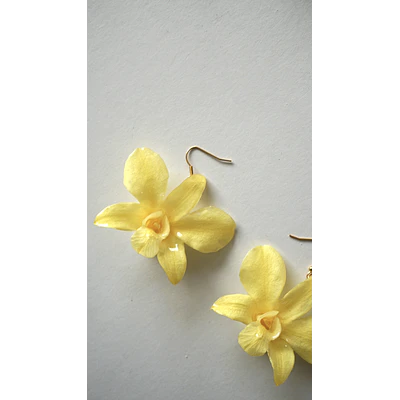 Aros Orquidea Amarillos