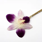 Orquídea Bicolor - Collar de Orquídea Natural en Resina