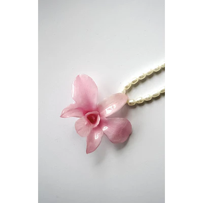 Orquidea Rosada y Perlas de Río
