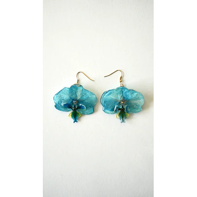 Aros Orquidea Calipso
