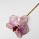  Collar Orquídea Aura