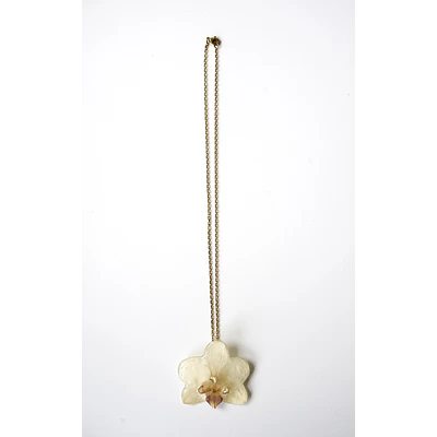 Orquídea Marfil