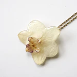 Orquídea Marfil